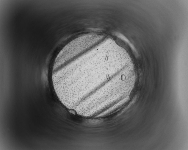 X0000087561307200705181117