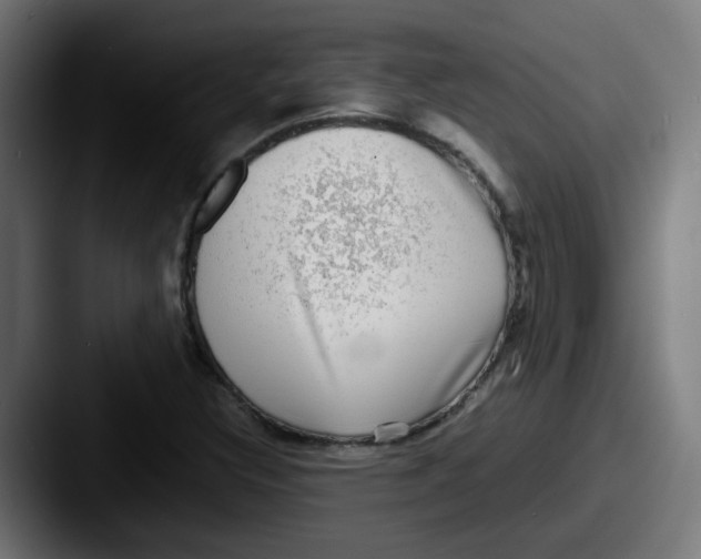 X0000087561308200705181117