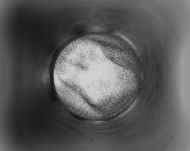 X0000087561309200705181117