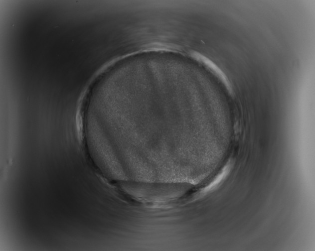 X0000087561310200705181117