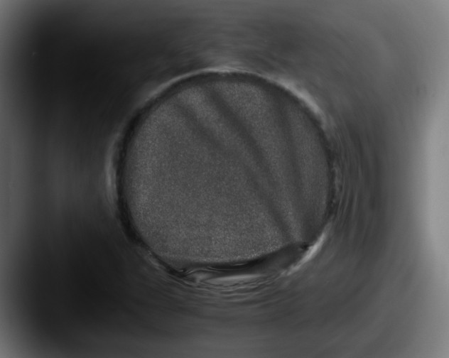 X0000087561311200705181117