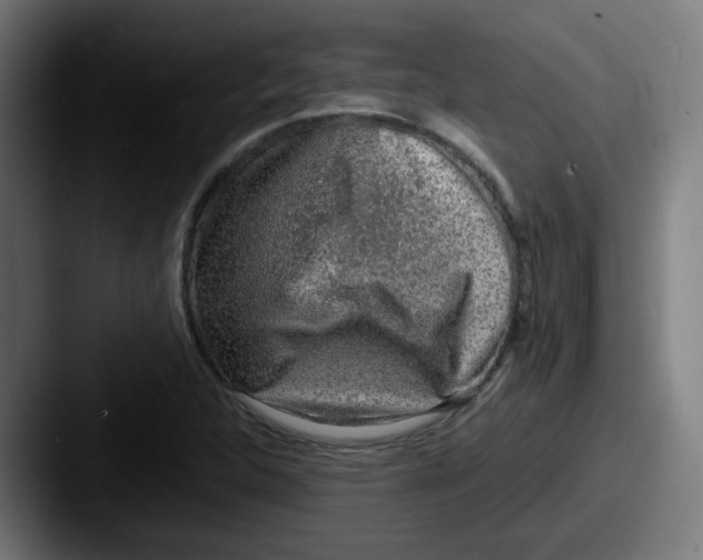 X0000087561312200705181117