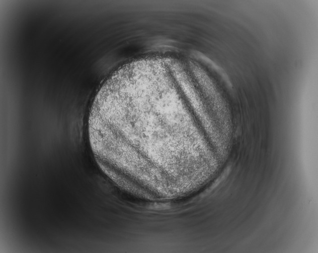 X0000087561313200705181117
