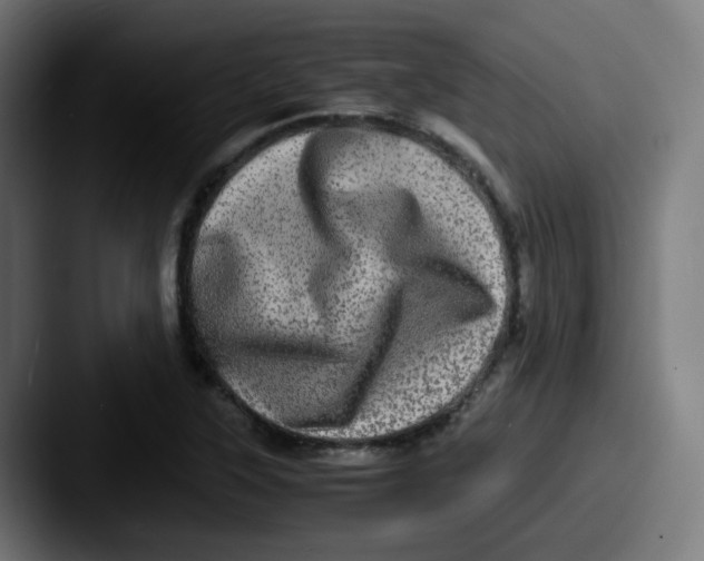 X0000087561315200705181117