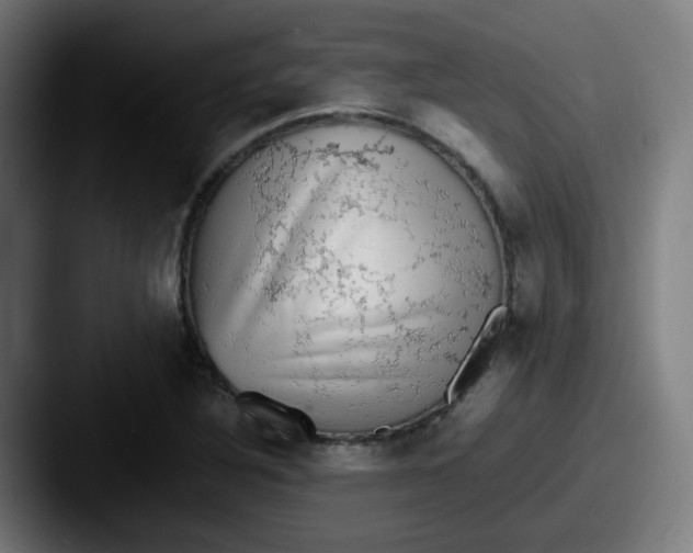 X0000087561316200705181117