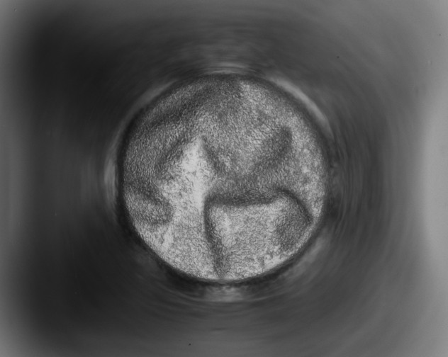 X0000087561317200705181117