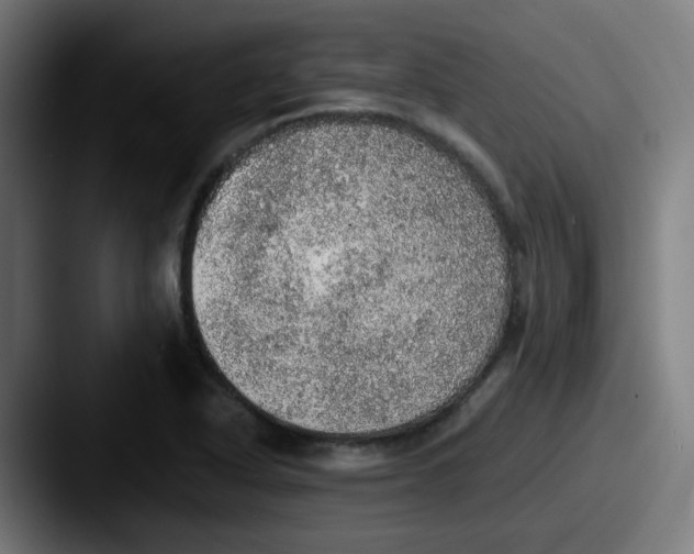 X0000087561318200705181117