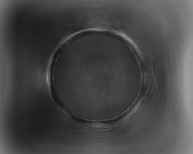 X0000087561319200705181117