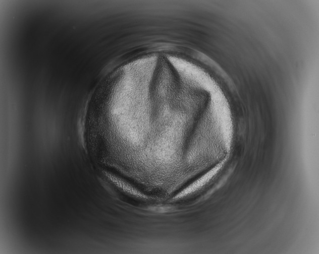 X0000087561321200705181117