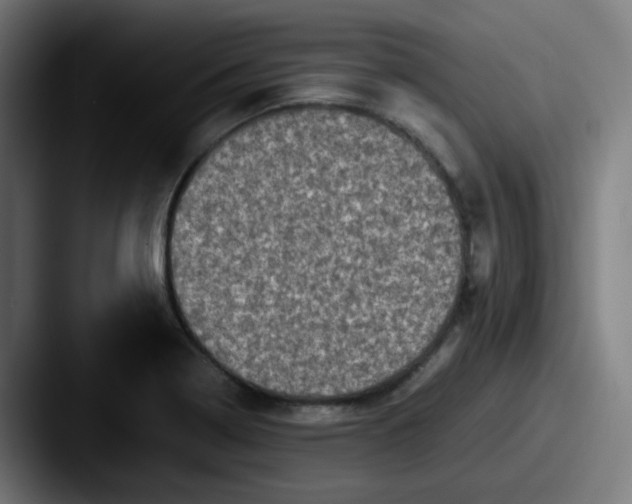 X0000087561322200705181117