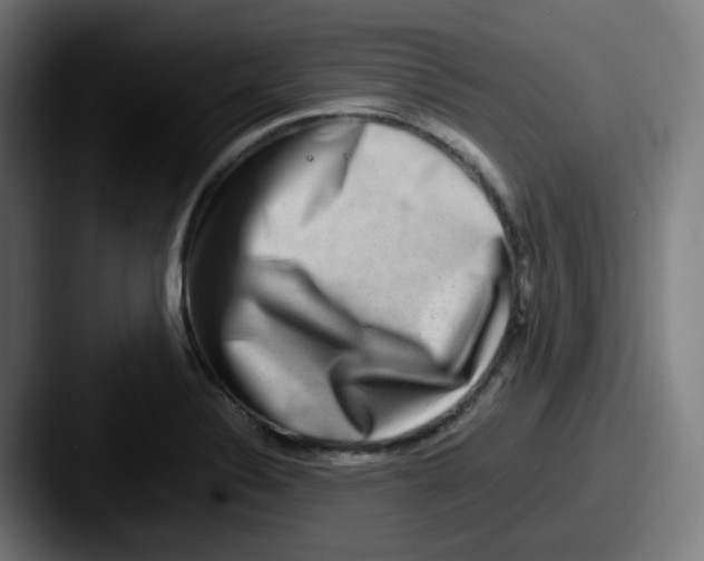 X0000087561324200705181117