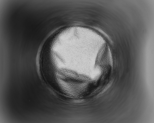 X0000087561325200705181117