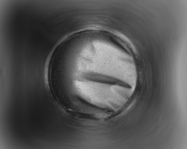 X0000087561326200705181117