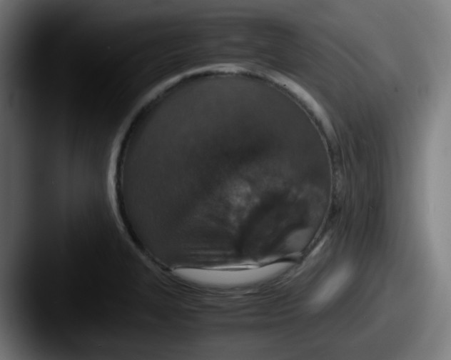 X0000087561327200705181117