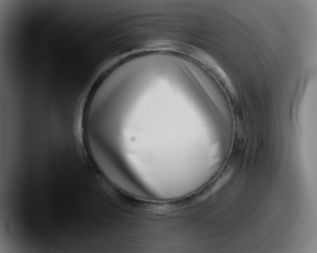 X0000087561328200705181117