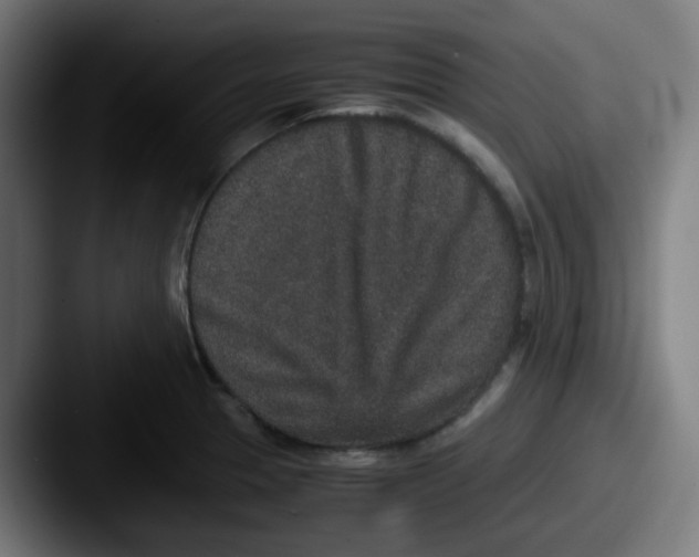 X0000087561329200705181117