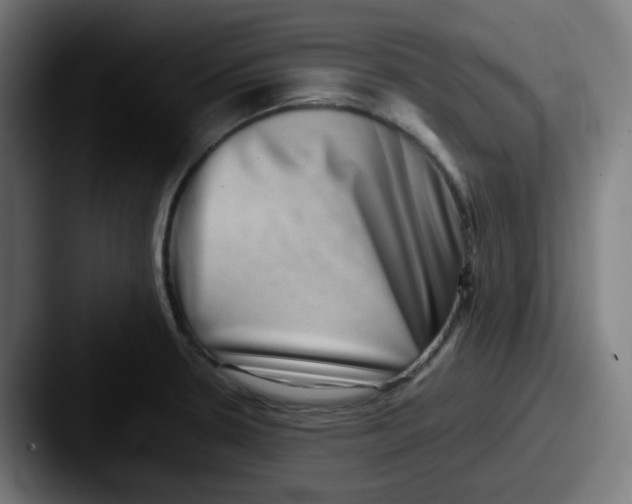 X0000087561330200705181117