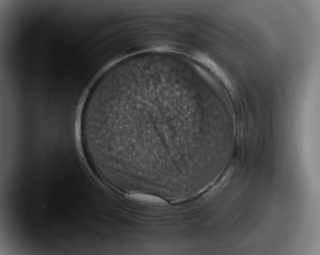 X0000087561331200705181117