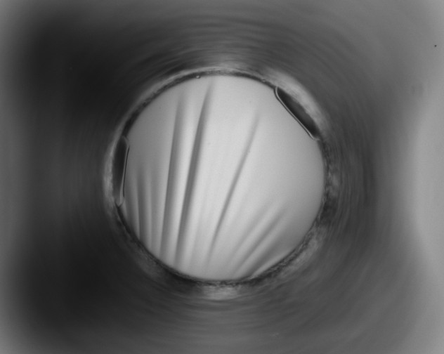 X0000087561332200705181117