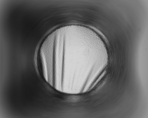 X0000087561333200705181117