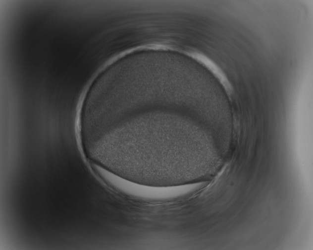 X0000087561335200705181117