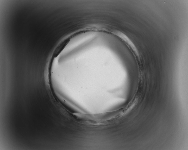 X0000087561336200705181117