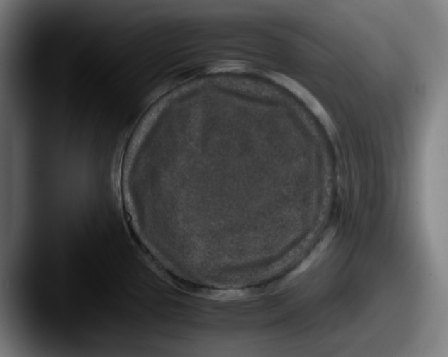 X0000087561337200705181117
