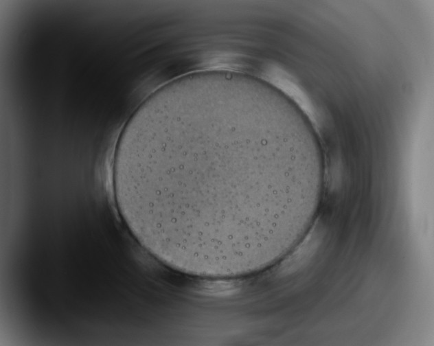 X0000087561338200705181117