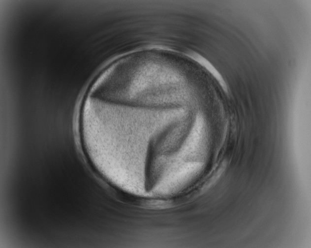 X0000087561339200705181117