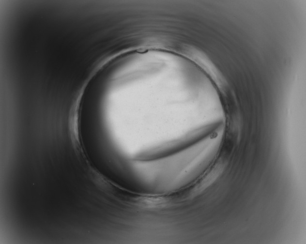 X0000087561340200705181117