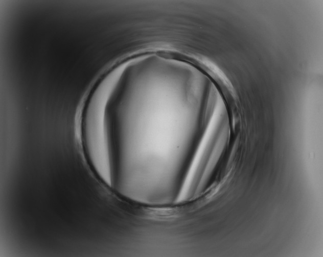 X0000087561342200705181117