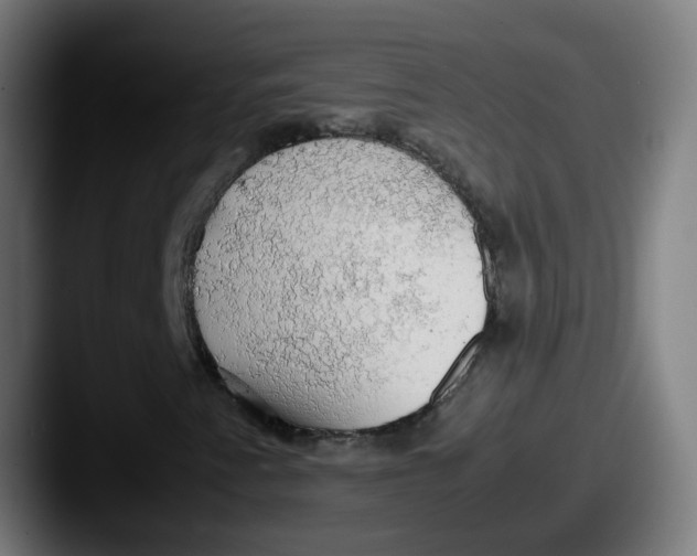X0000087561345200705181117