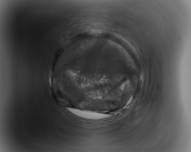 X0000087561348200705181117