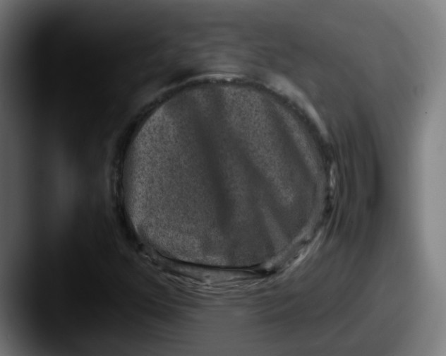X0000087561352200705181117