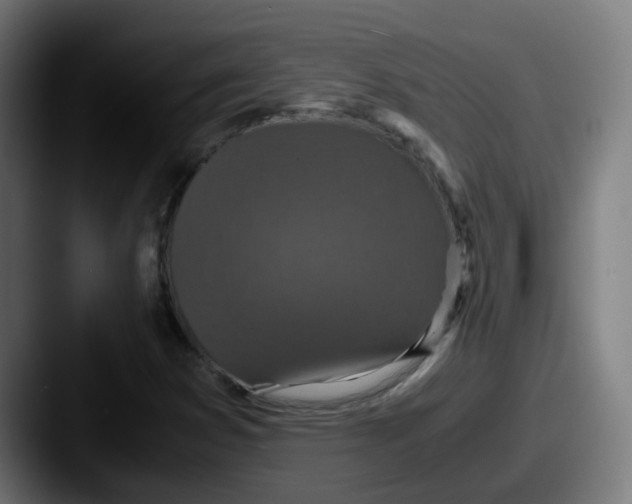 X0000087561353200705181117