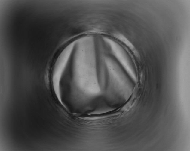 X0000087561356200705181117