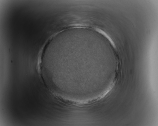 X0000087561357200705181117