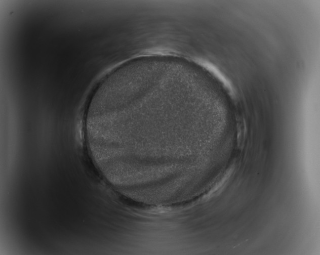 X0000087561358200705181117