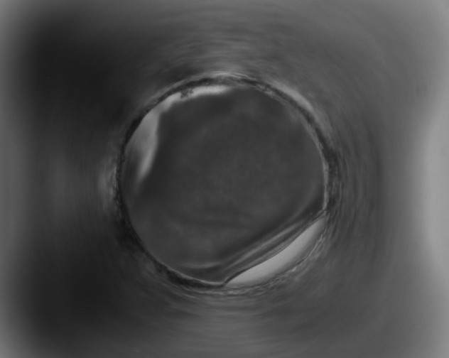 X0000087561359200705181117
