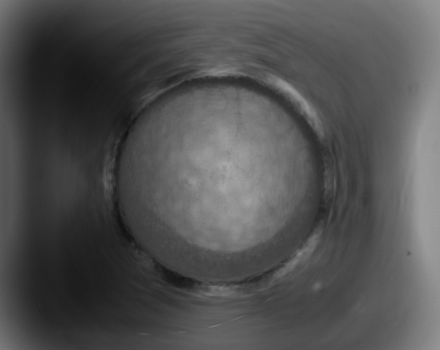X0000087561361200705181117