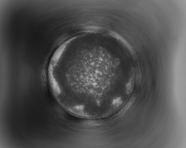 X0000087561362200705181117