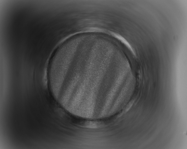 X0000087561364200705181117