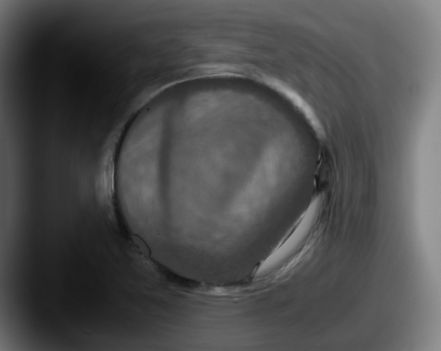 X0000087561365200705181117