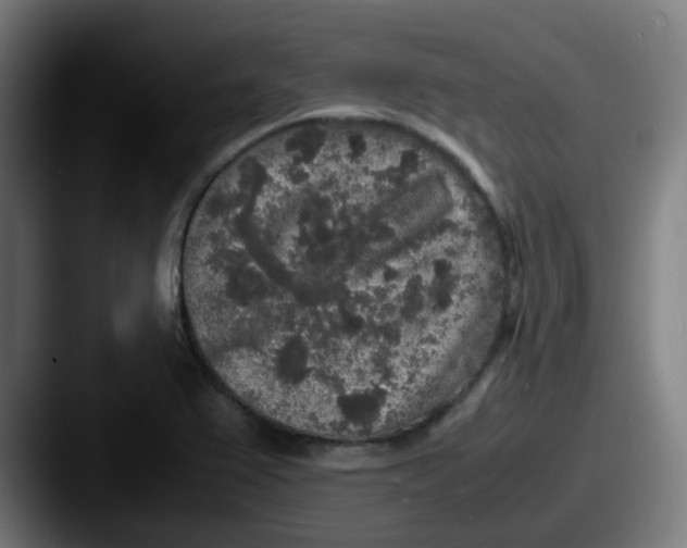 X0000087561367200705181117