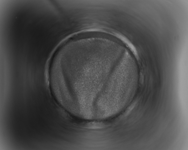 X0000087561368200705181117