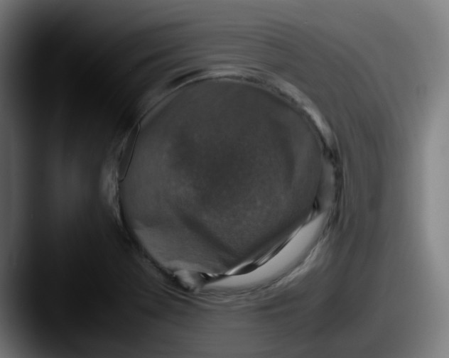 X0000087561369200705181117
