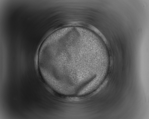 X0000087561370200705181117