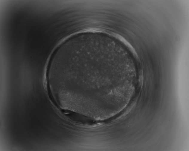 X0000087561372200705181117
