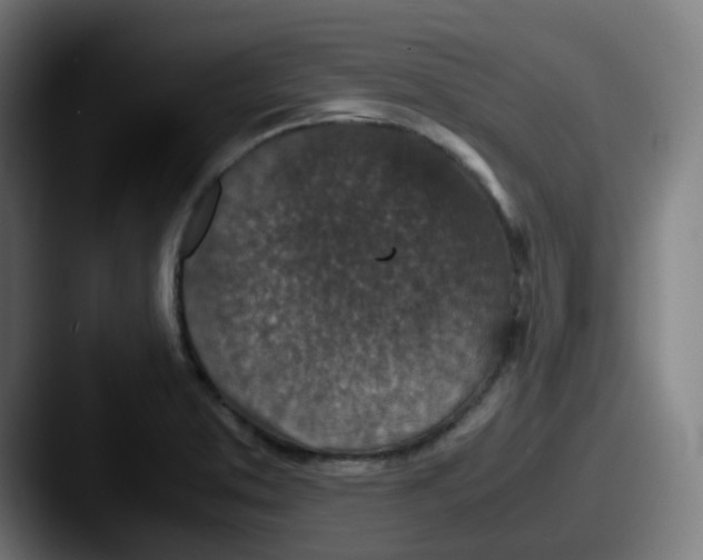 X0000087561373200705181117