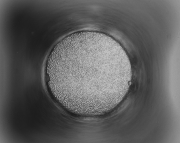 X0000087561375200705181117